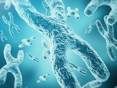 第三代试管婴儿可筛查的73种遗传病列表详解，含血球蛋白病解析