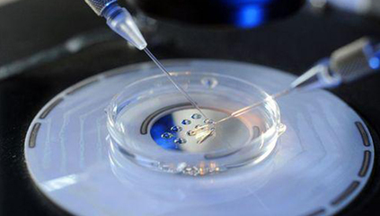 三代试管婴儿技术 能筛查哪些遗传病？以血球蛋白疾病为例